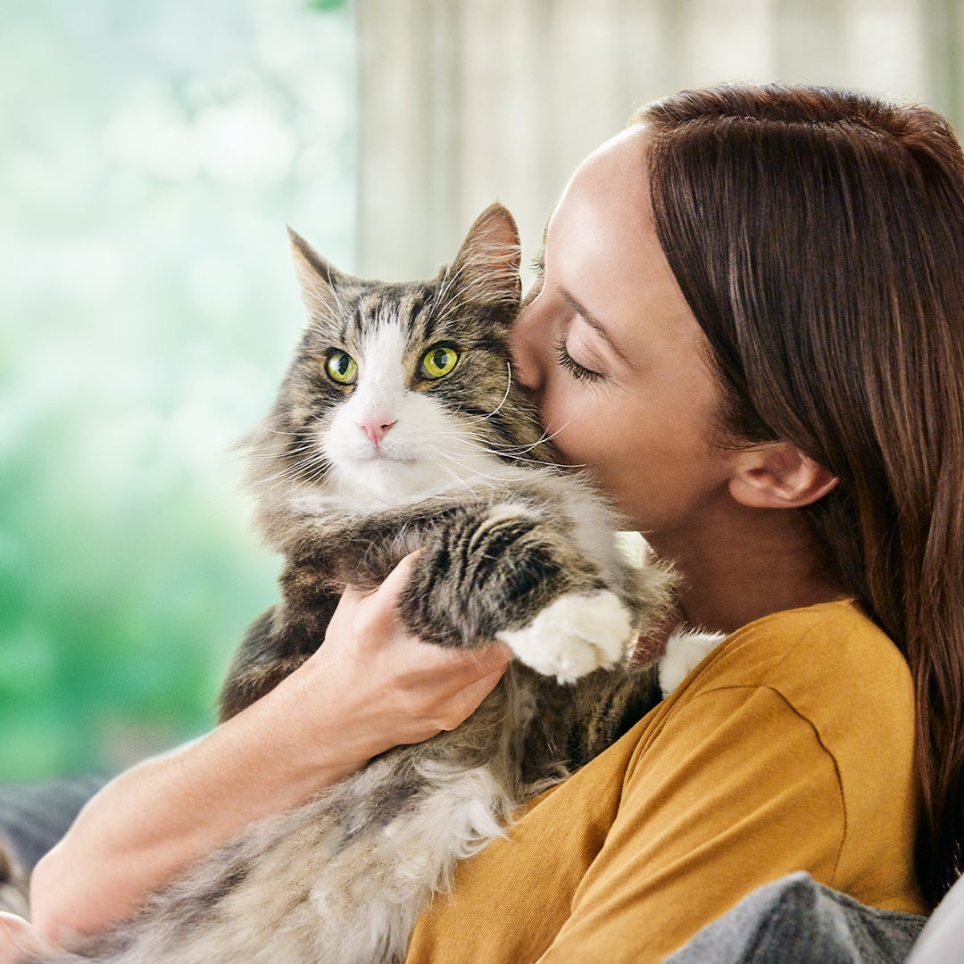 ピュリナ プロプラン リブクリア