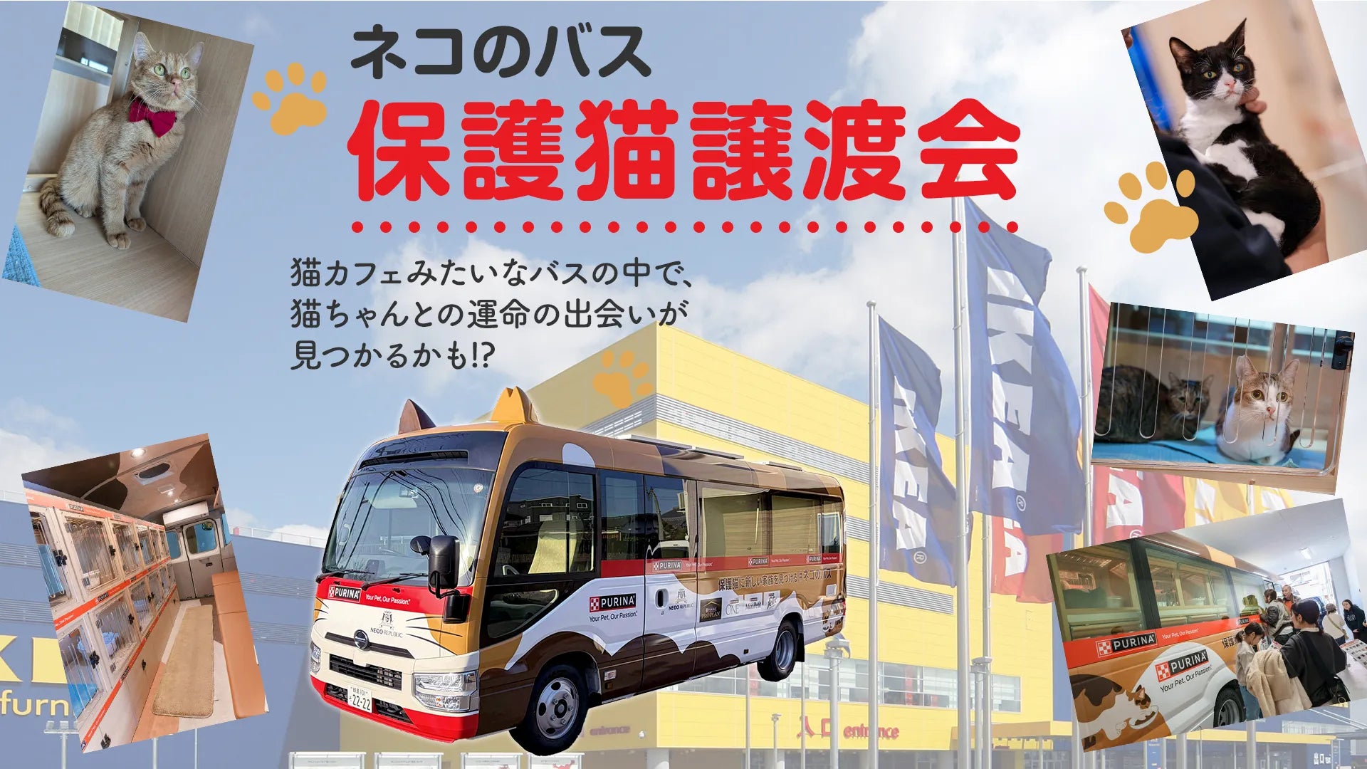 TEASER-IMAGE_event_nekobus