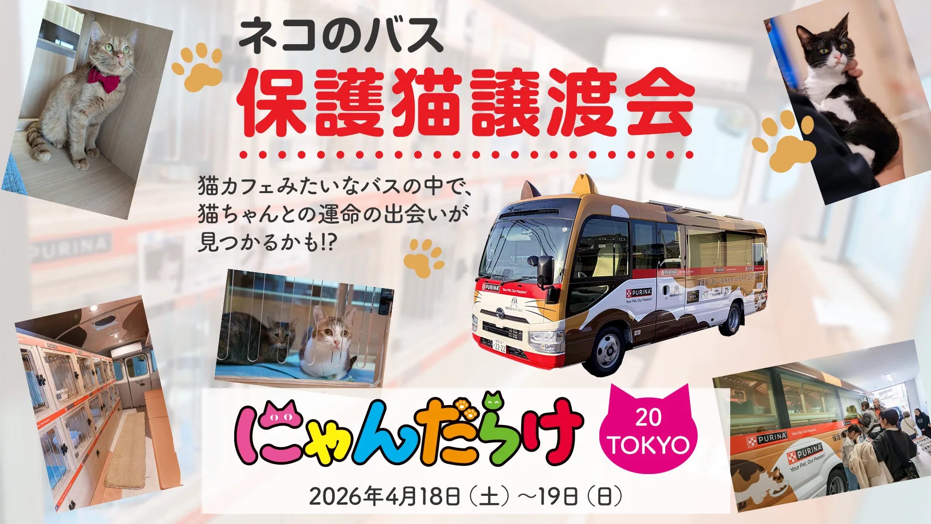 TEASER-IMAGE_event_nyandarake-20_rev
