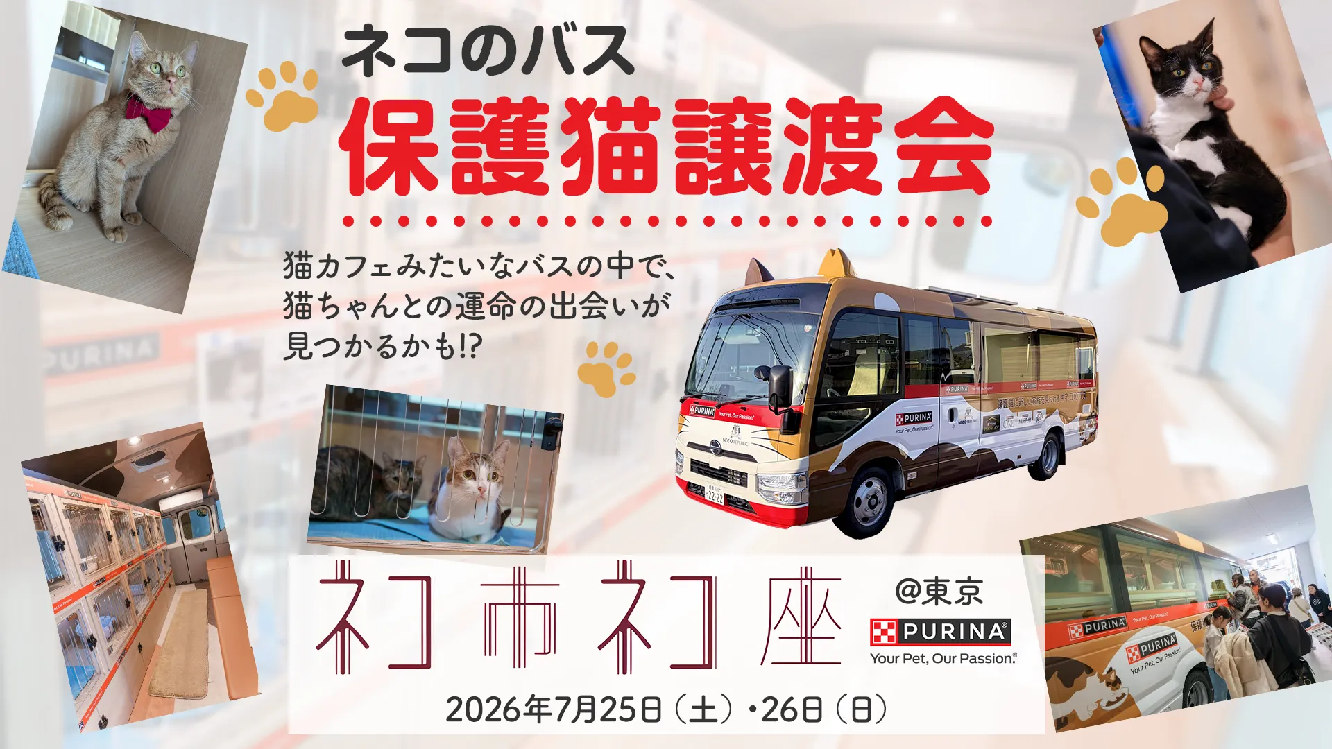7/25(土)・26(日) ネコ市ネコ座＠東京 with ピュリナ | イベント | Purina 公式サイト