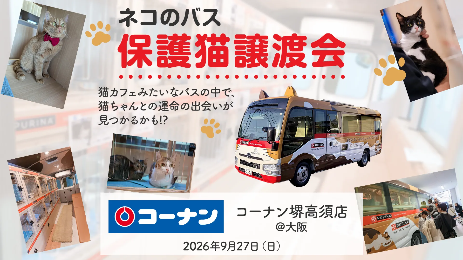 9/27(日) ネコのバス保護猫譲渡会＠コーナン堺高須店
