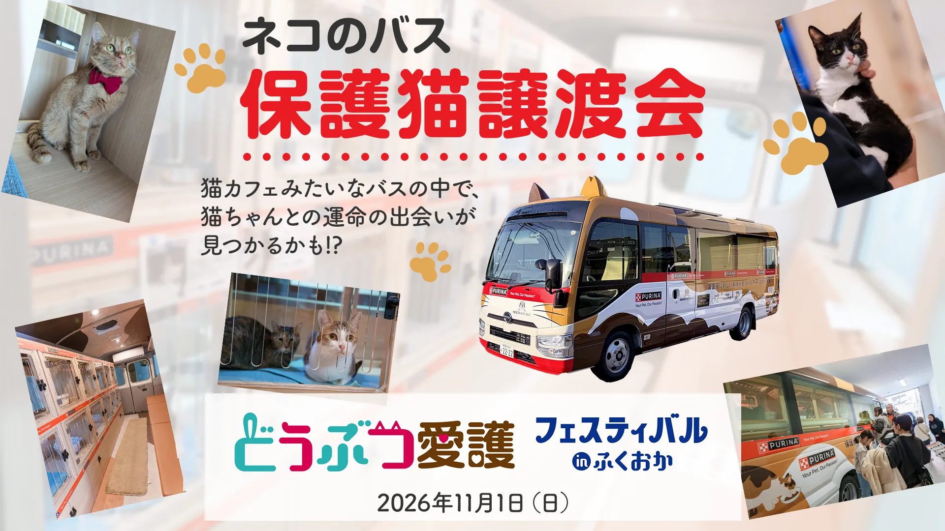 11/1(日) どうぶつ愛護フェスティバル in ふくおか