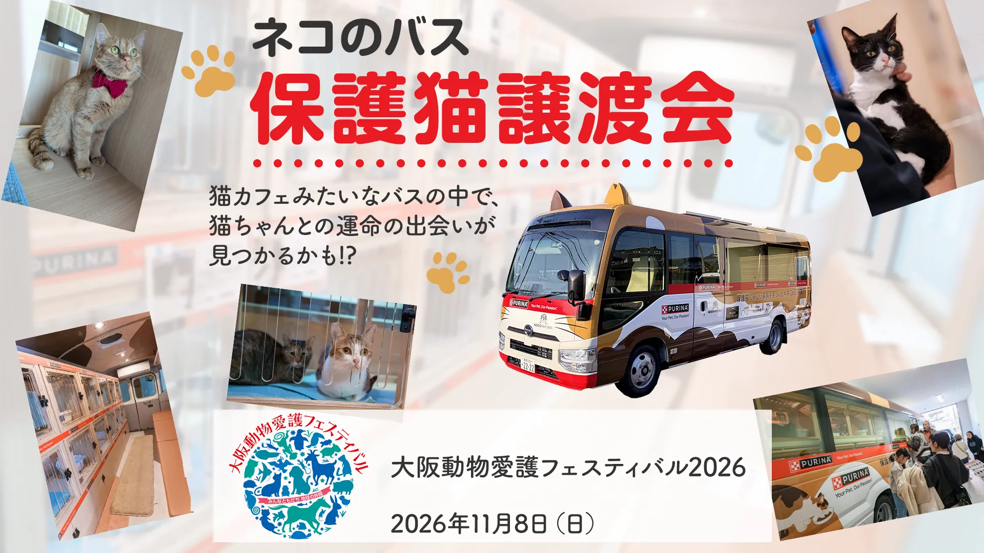 11/8(日) 大阪動物愛護フェスティバル2026