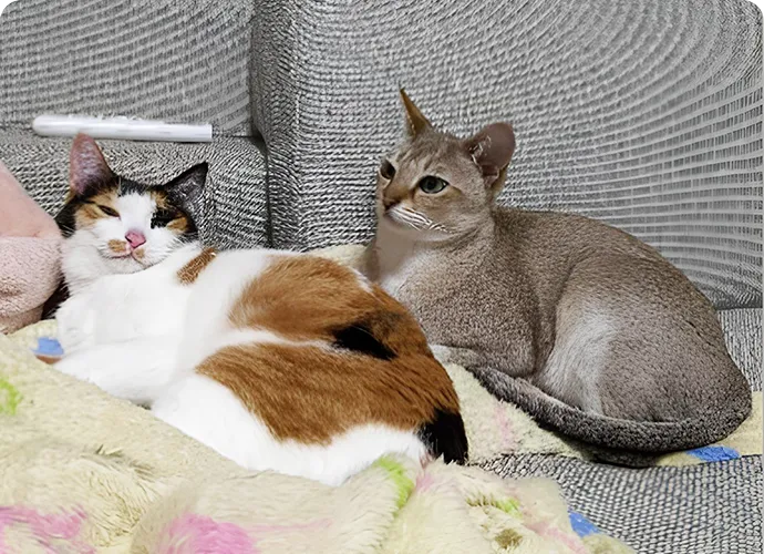うに and ぽっけ