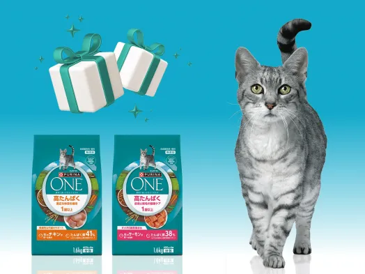 ピュリナ ワン 猫用フード(Purina ONE Cat) - ピュリナ公式サイト