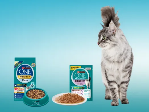 ピュリナ ワン 猫用フード(Purina ONE Cat) - ピュリナ公式サイト
