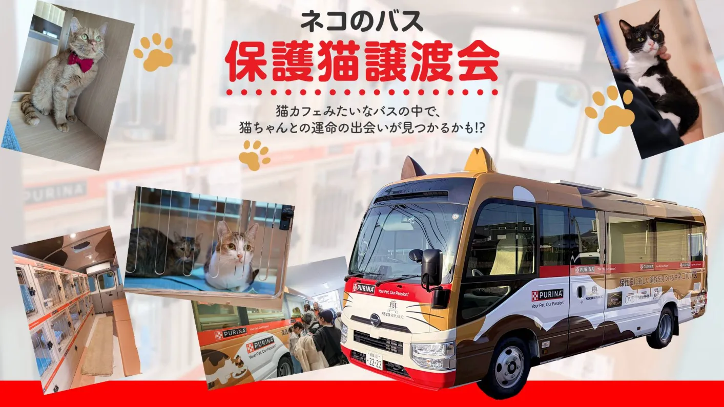 こねこバス シーガル20 | 本四バス開発株式会社