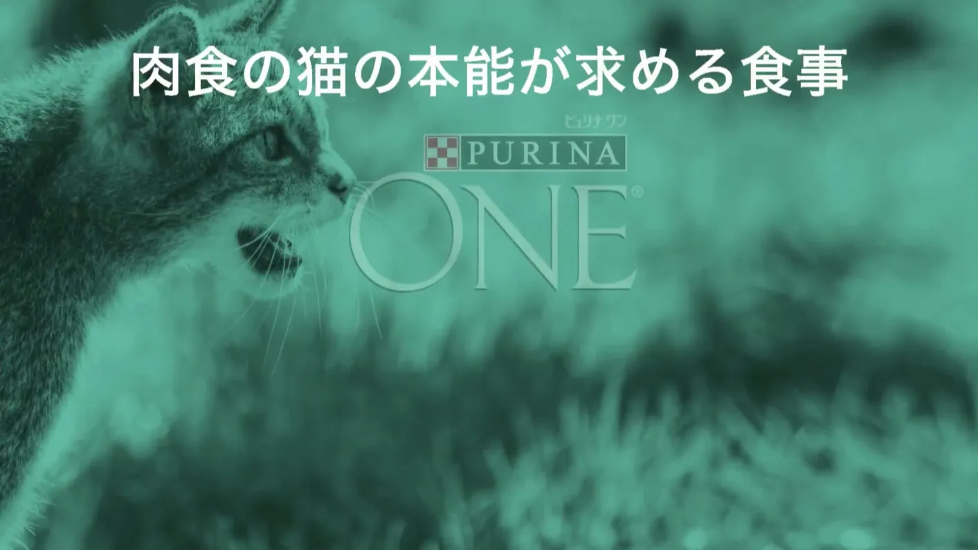 ピュリナ ワングレインフリーキャットフード - ピュリナ公式サイト