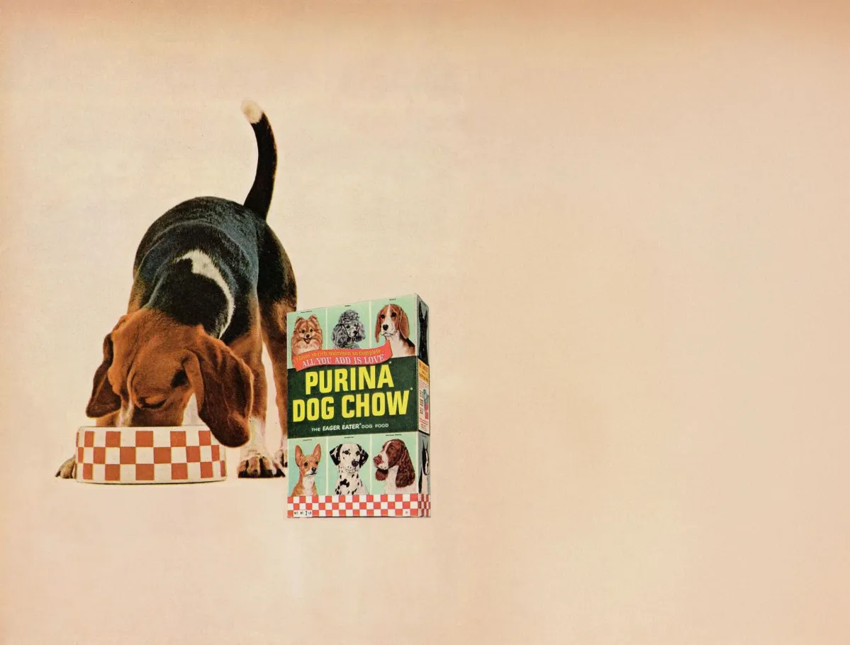ピュリナ(Purina)公式サイト - キャット・ドッグフードとペットケアの