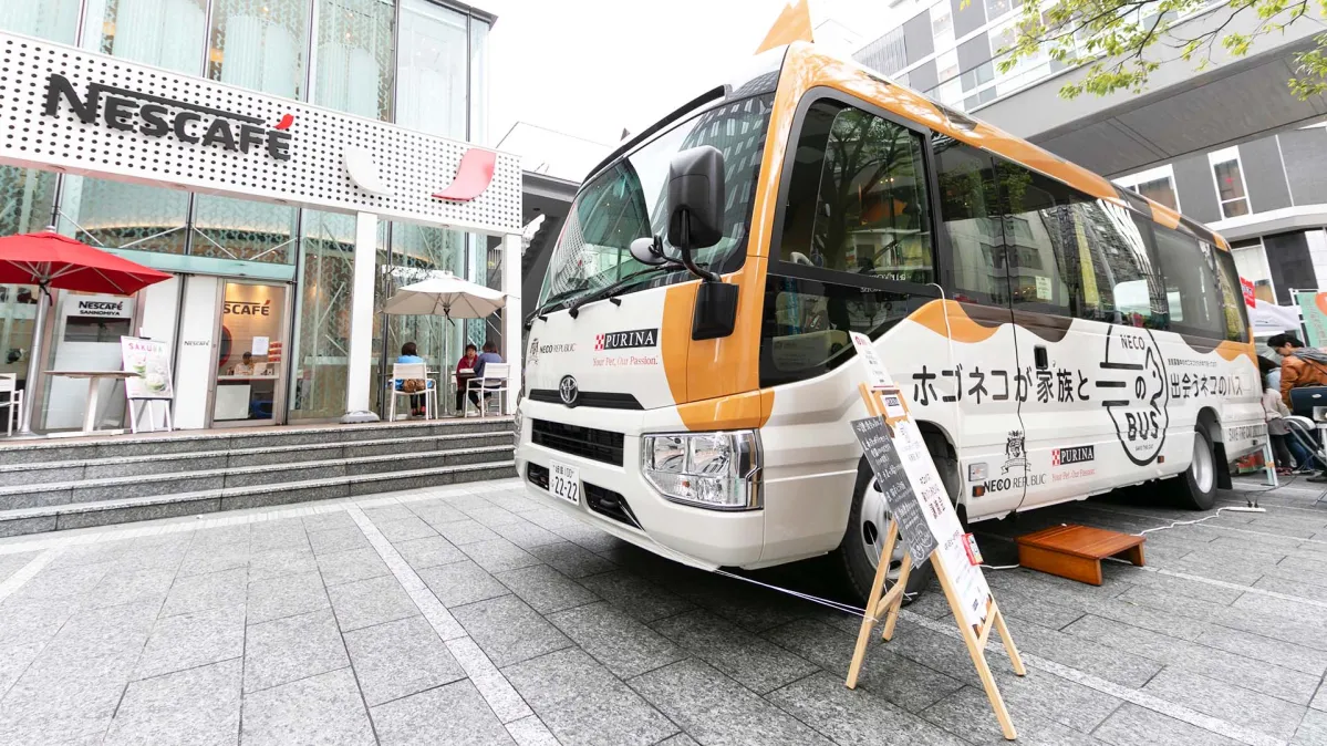 ネコのバス」猫カフェみたいな譲渡会 - ピュリナ公式サイト