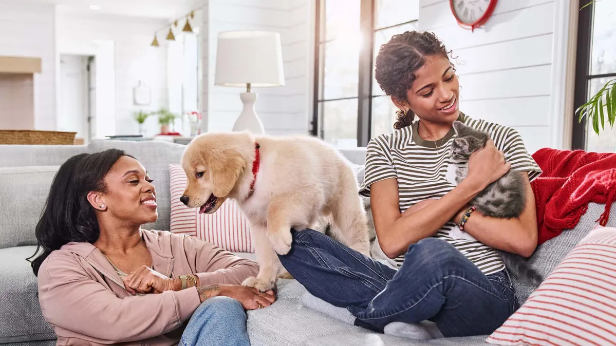 子犬と子猫とふれあう親子