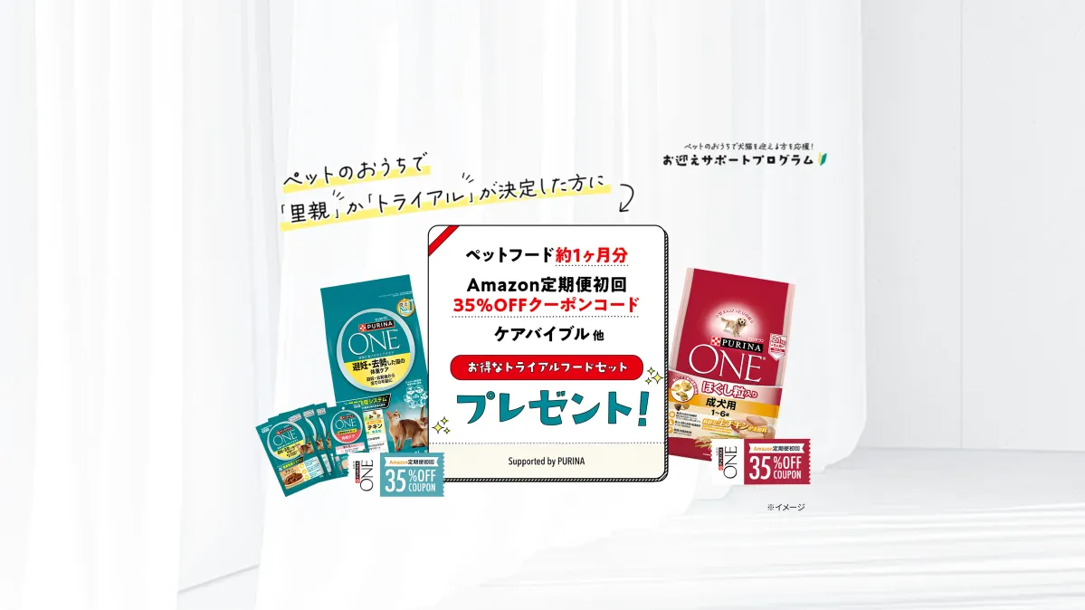 お迎えサポートプログラム